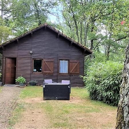 Weir Cottage Balledent Εξωτερικό φωτογραφία